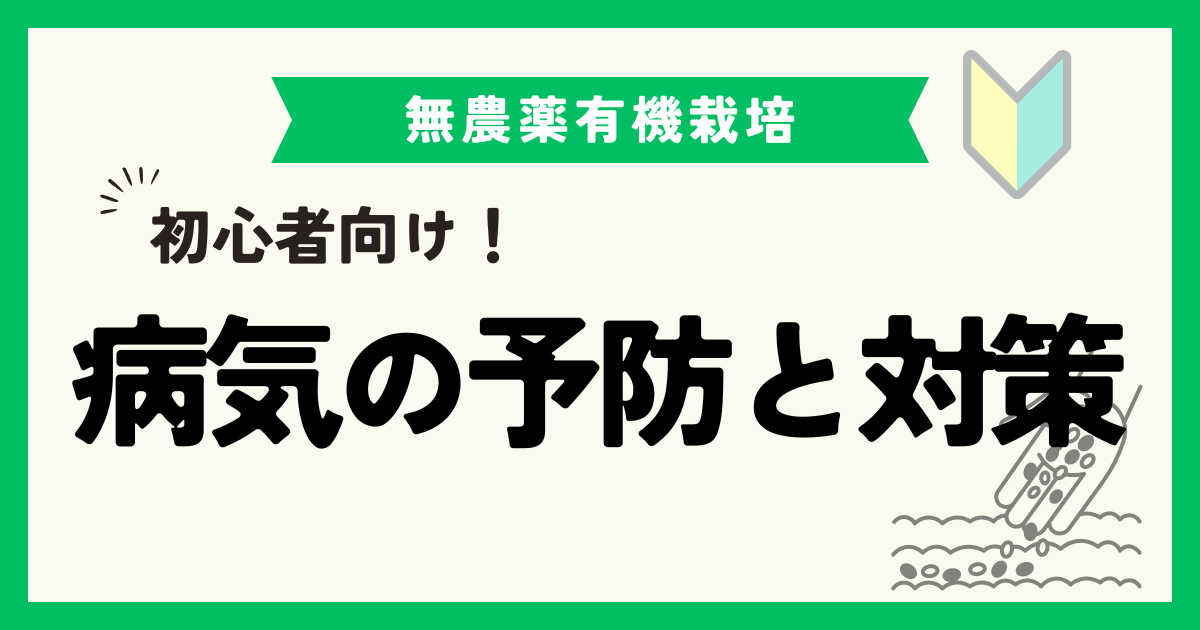 【初心者向け】おいしい無農薬野菜を作るために！病気の予防と対策の最適解！